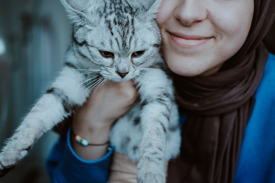 A woman joyfully holds her British Shorthair cat indoors.
