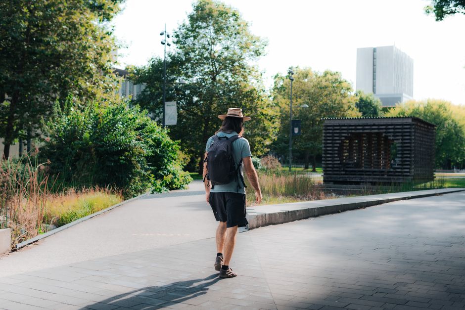 Starting a Walking Habit: A Four-Week Spring Plan