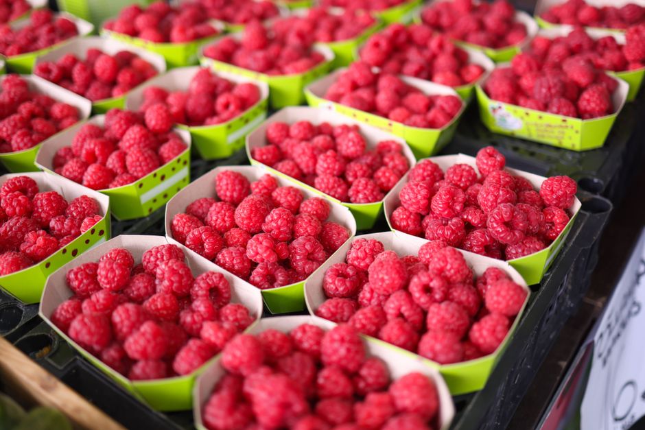Vibrant fresh raspberries in green baskets displayed at a farmers market.